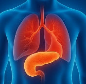 췌장에 좋은 음식