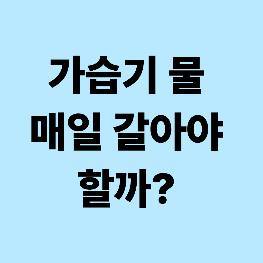 가습기 물은 매일 갈아야 할까?|수돗물·정수기물 선택부터 올바른 세척법까지