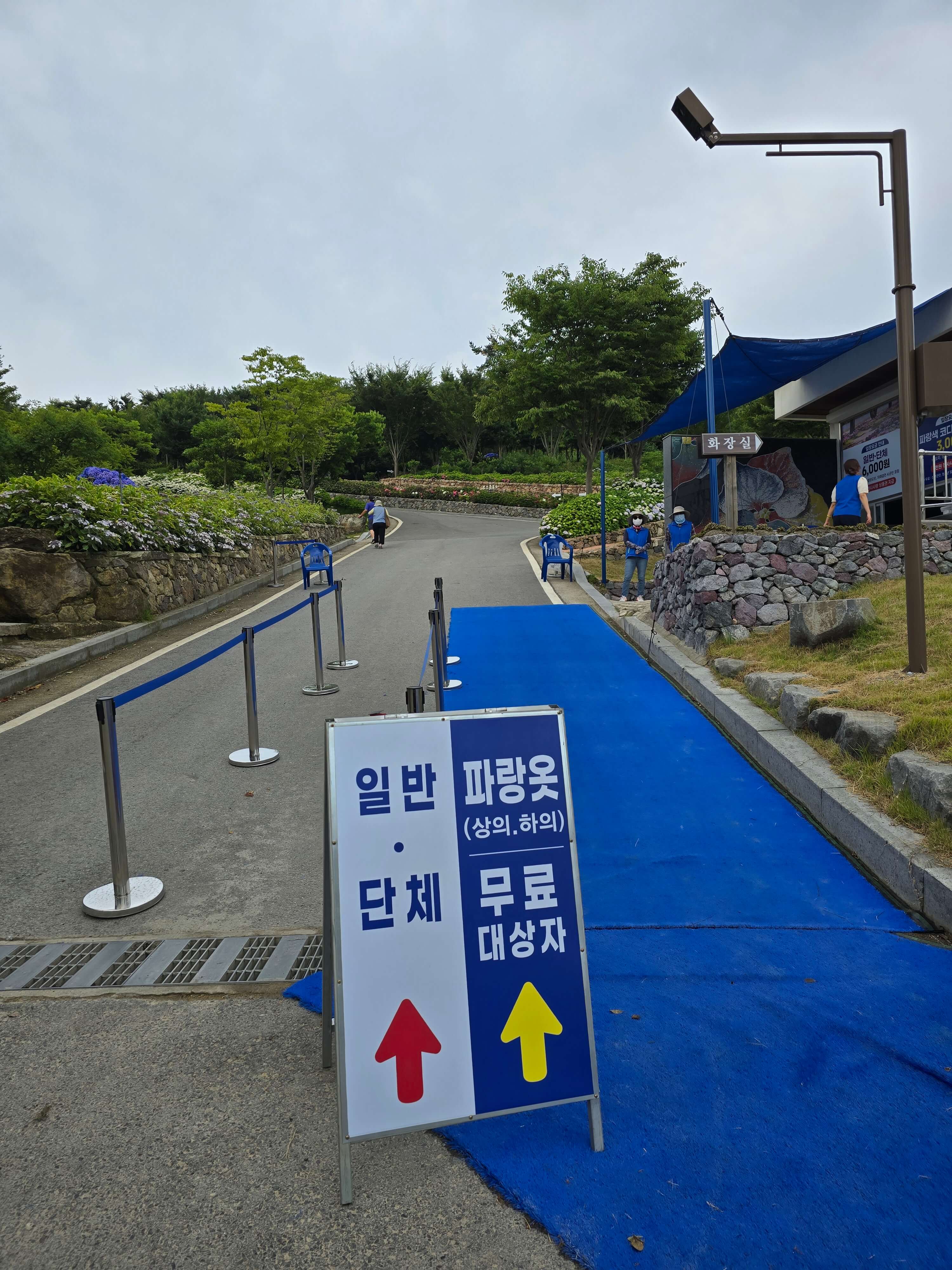 신안수국축제입장