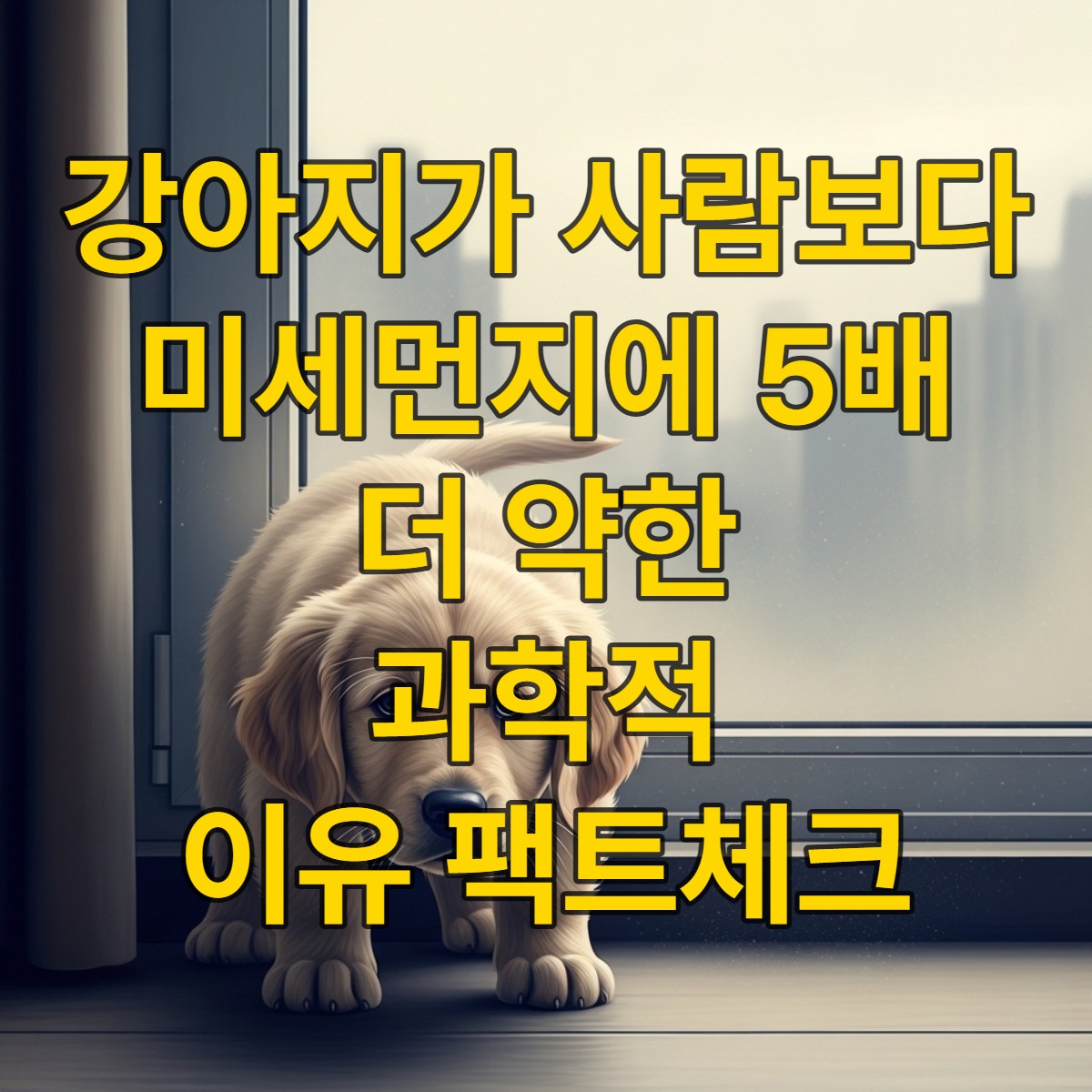 미세먼지로 가득 찬 창밖을 걱정스럽게 바라보는 강아지의 모습. 지면과 가까운 강아지의 시점에서 미세먼지 위험을 강조함.