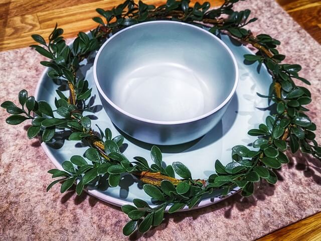 강아지가 사료를 안 먹어요 - 해결책