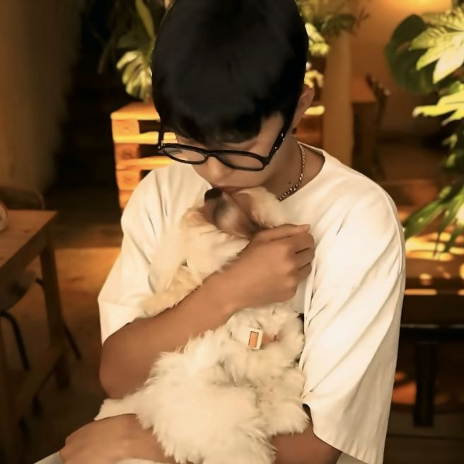 임영웅 반려견 시월이 총정리｜견종 코통 드 튈레아르&middot;나이&middot;생일&middot;입양 사연&middot;또또 뮤직비디오