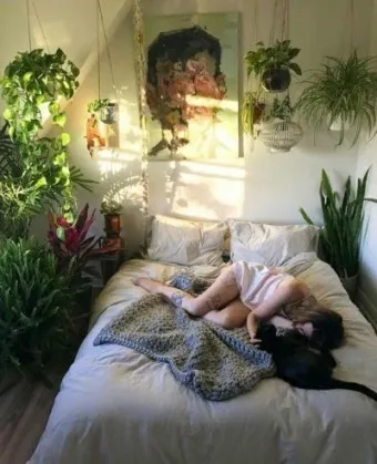 침실 식물 추천 공기정화기능 물주기 관리 향기 숙면 도움 되는 종류_8