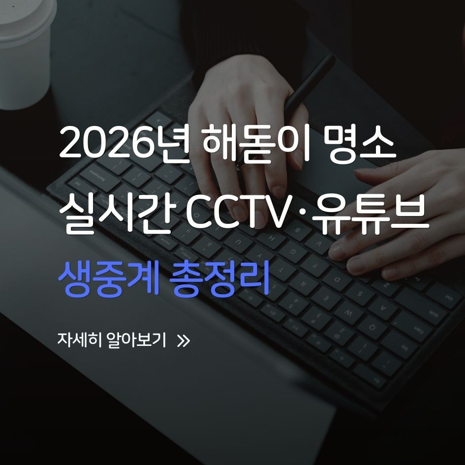 집에서 보는 새해 해돋이 CCTV 생중계
