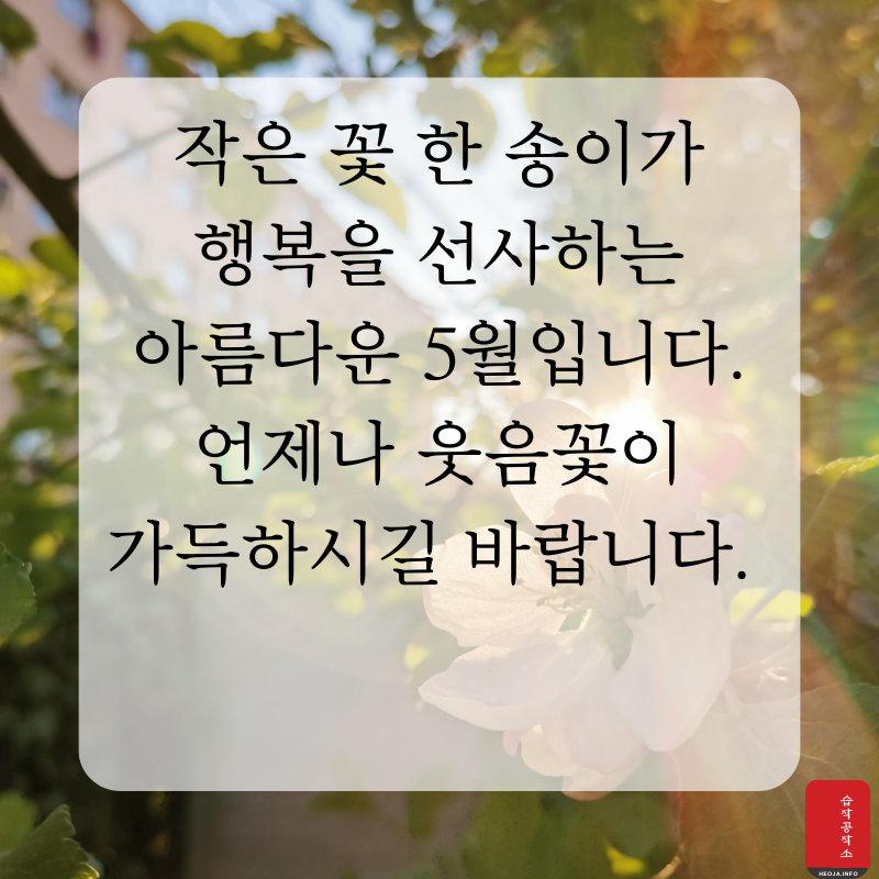 2025년 5월 인사말 문구 이미지 모음집