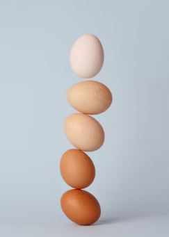 계란 삶는법 계란 삶는 시간 계란 삶는법 식초