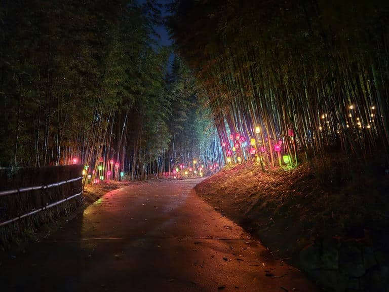 죽녹원 야간 개장