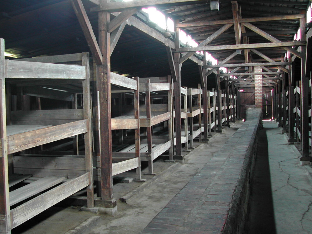 아우슈비츠 나치강제수용소 제2차세계대전 집단학살 홀로코스트 역사적진실 유네스코 세계문화유산 역사교육