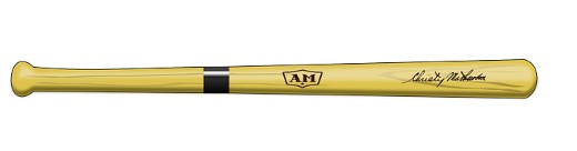 야구 배트 사진