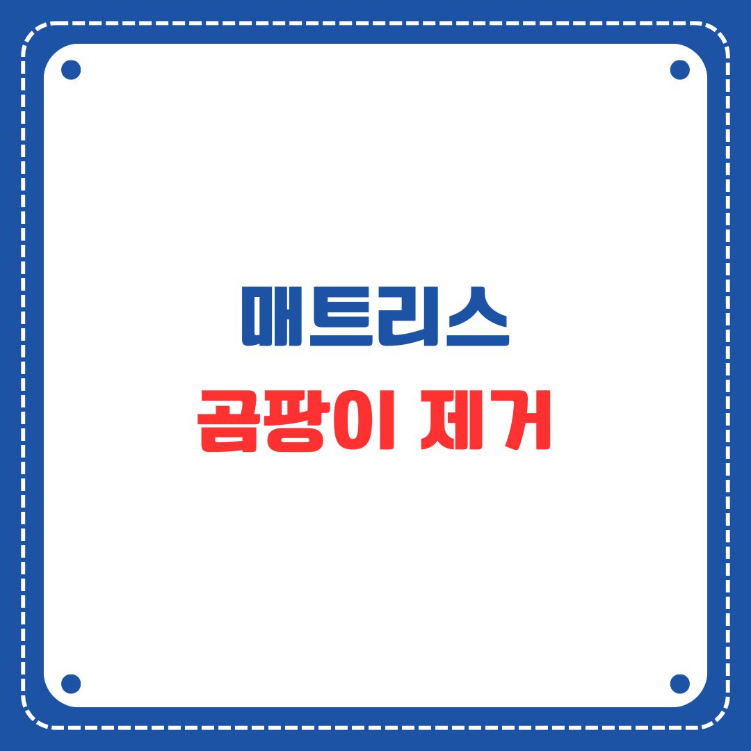 매트리스 곰팡이 제거