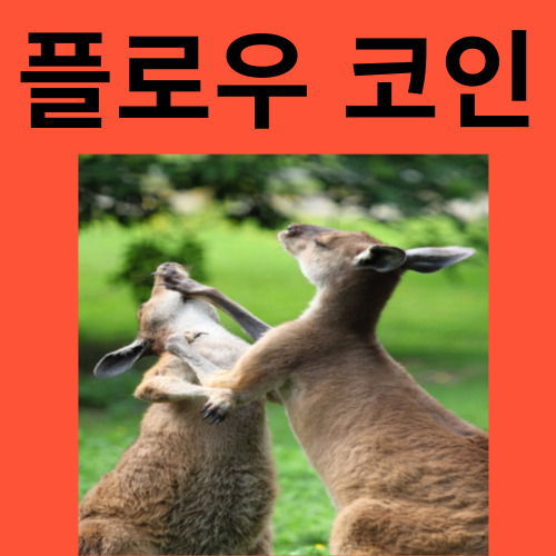 플로우 코인