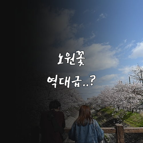 2026년 노원구 봄꽃 개화 시기 및..