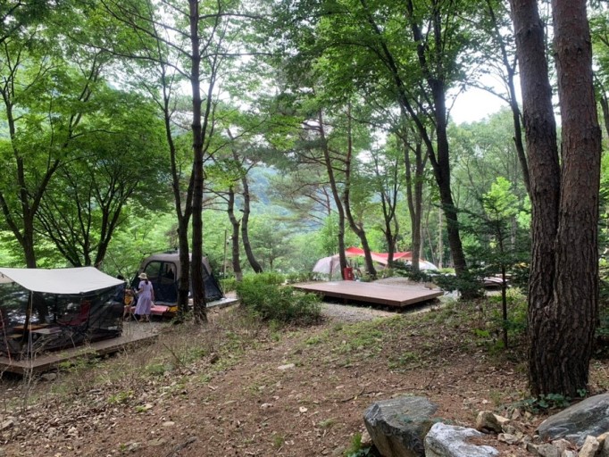 서산캠핑장 추천 국립 용현 자연휴양림