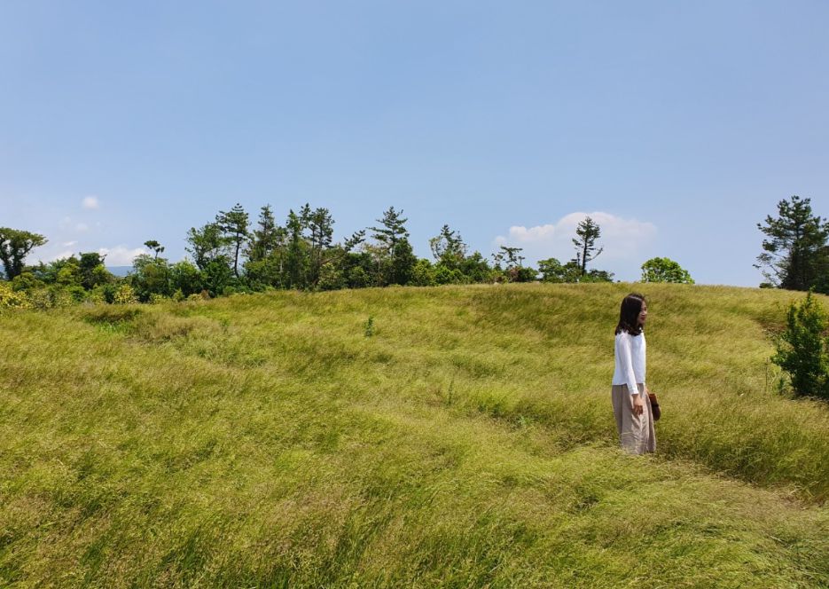 제주도 가볼만한곳 10곳 30선 파더스가든