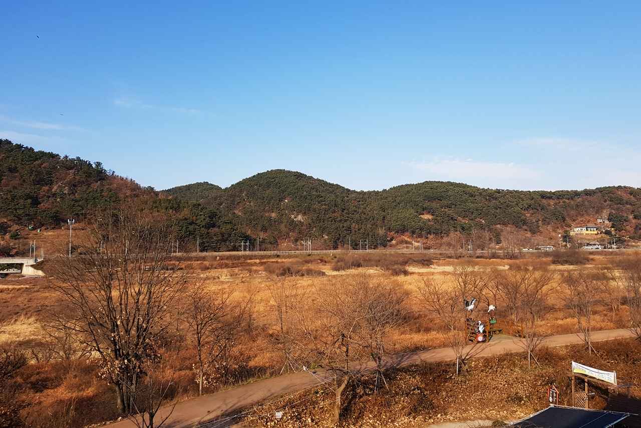 화포천습지 생태공원