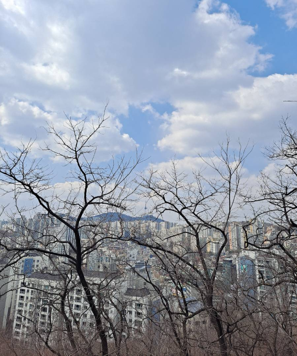 응봉산에서 보이는 서울타워