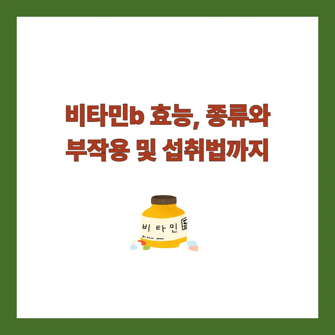 비타민b 효능