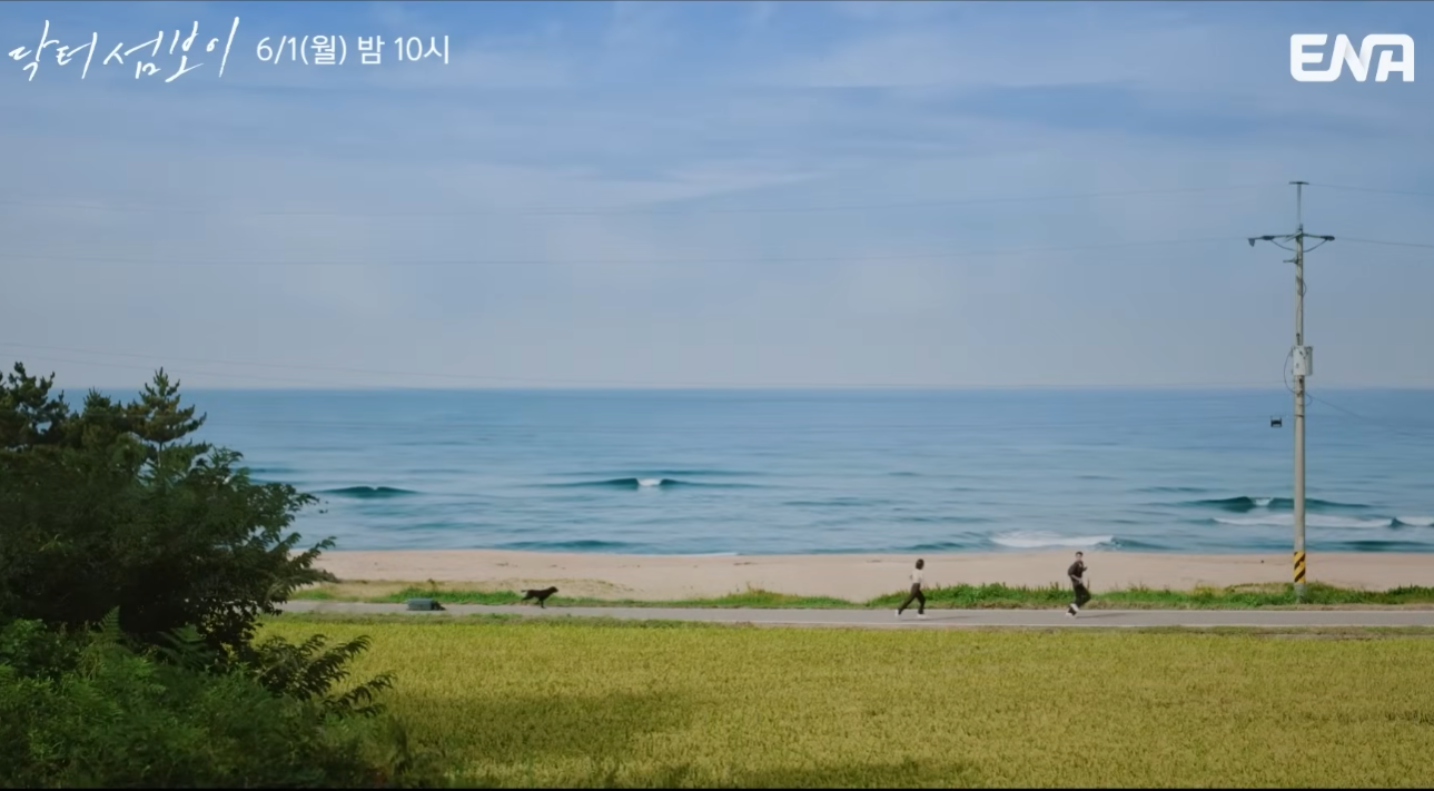 닥터 섬보이