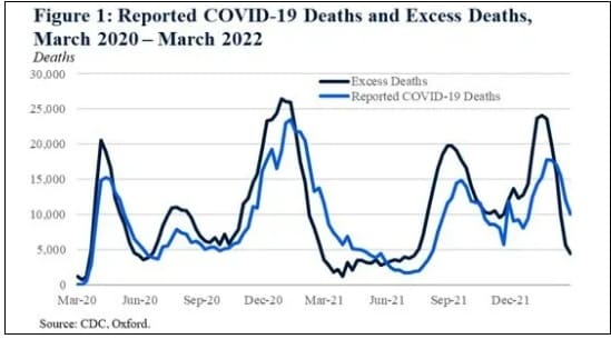 사망률 증가와 인과관계 있는 백신: MIT 연구팀 COVID Vaccines Causally Linked to Increased Mortality, Resulting in 17 Million Deaths: Scientific Report