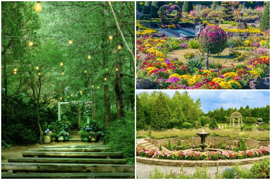 파주-가볼만한곳-베스트10-벽초지수목원