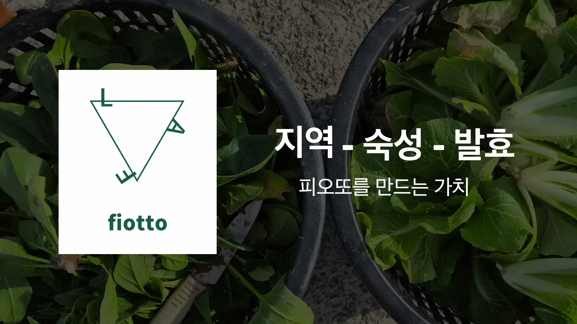 덴마크 레스토랑 노마의 풍경 또는 World Best 50 1위 기록이 함께 보이는 슬라이드.