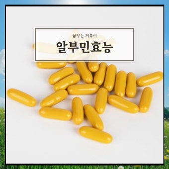 알부민의 효능