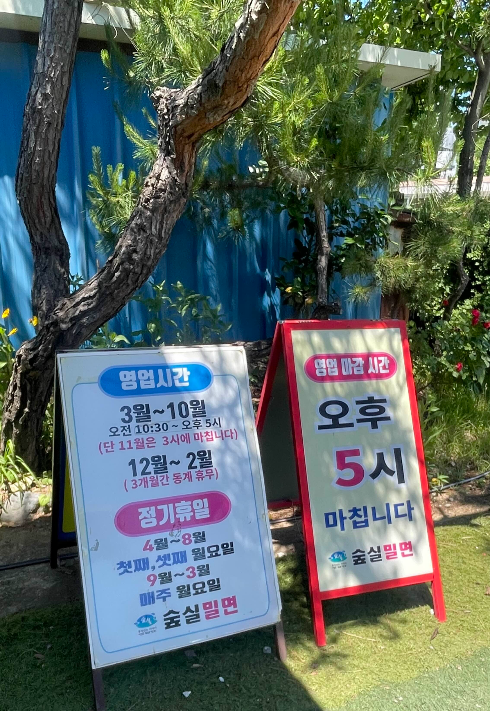 숲실밀면