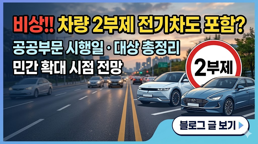 차량2부제 비상!! 전기차까지 잡는 2부제 시행... 민간 확대 시점은? 공공부문 시행일 적용 대상 총정리