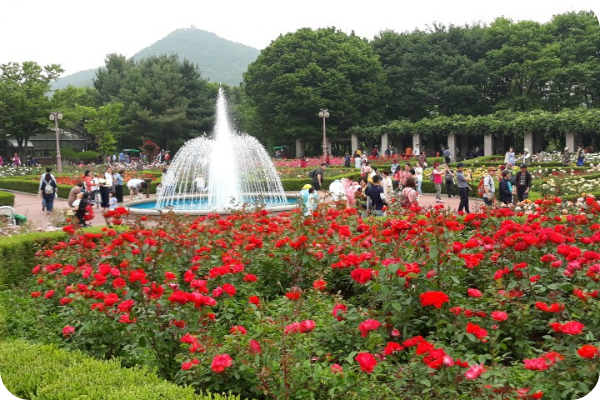 인천대공원 이미지 출처: 한국관광공사