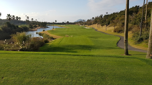 버뮤다 그라스(Bermuda Grass)에 대해 아시나요
