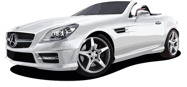 자동차 장기 렌탈 장기 리스 완벽 가이드