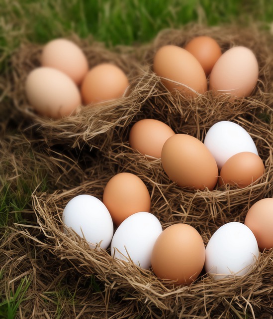 대상 포진 안좋은 음식