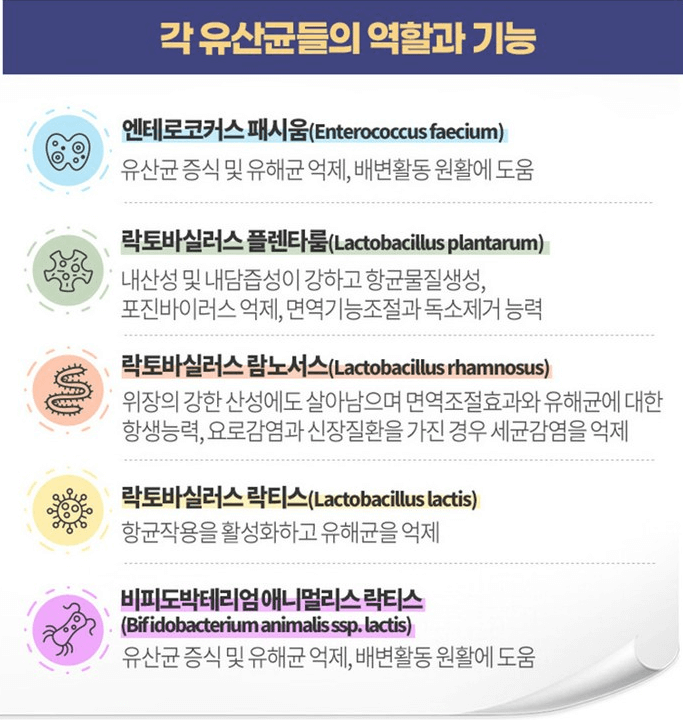 반려 동물에게 유익한 유산균종