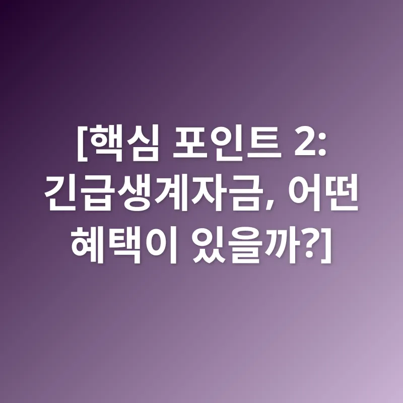긴급생계자금_2