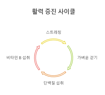 활력 증진 사이클