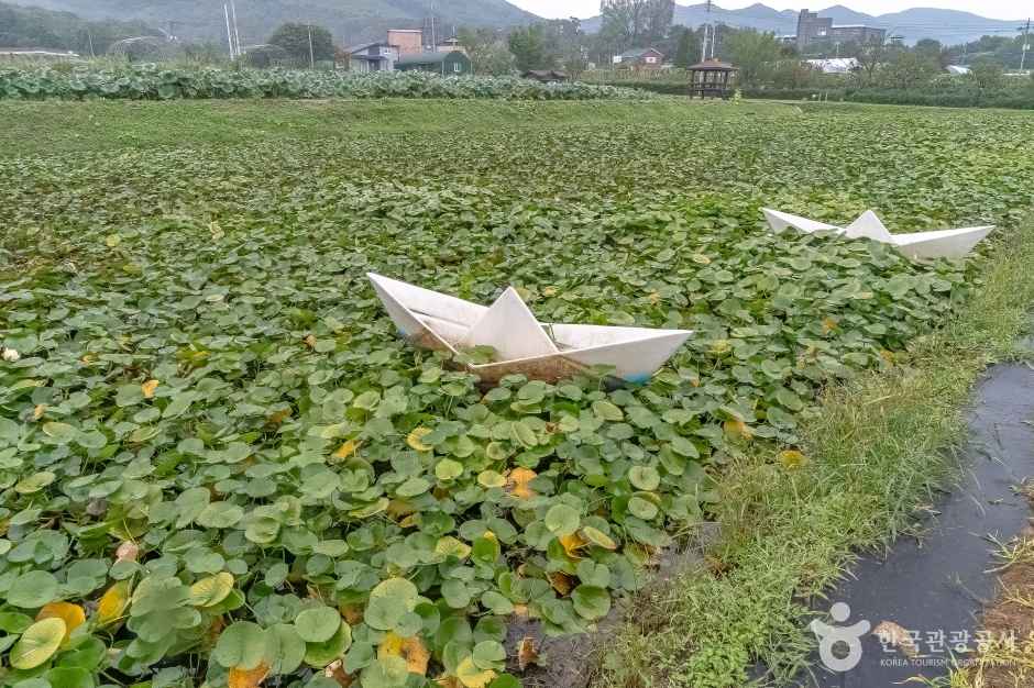 연꽃단지