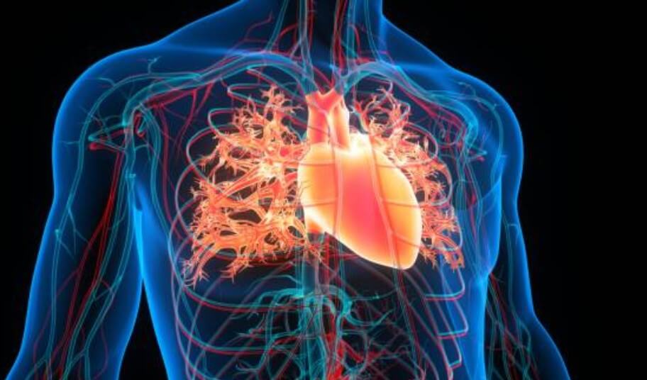 심장마비 전조증상