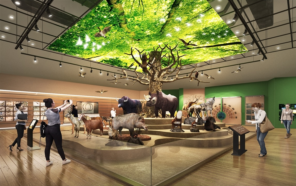 목포자연사박물관