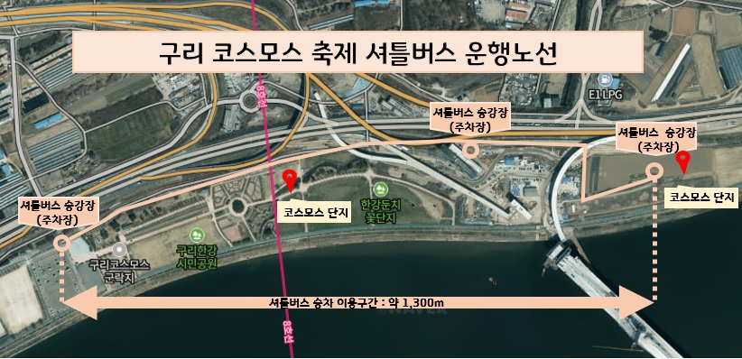 구리 코스모스축제 한강시민공원