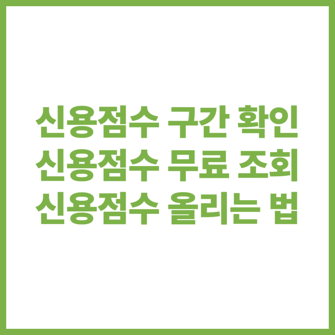 신용점수 확인