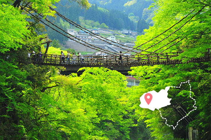 도쿠시마 여행 가이드! 필수 코스 &amp; 맛집 추천