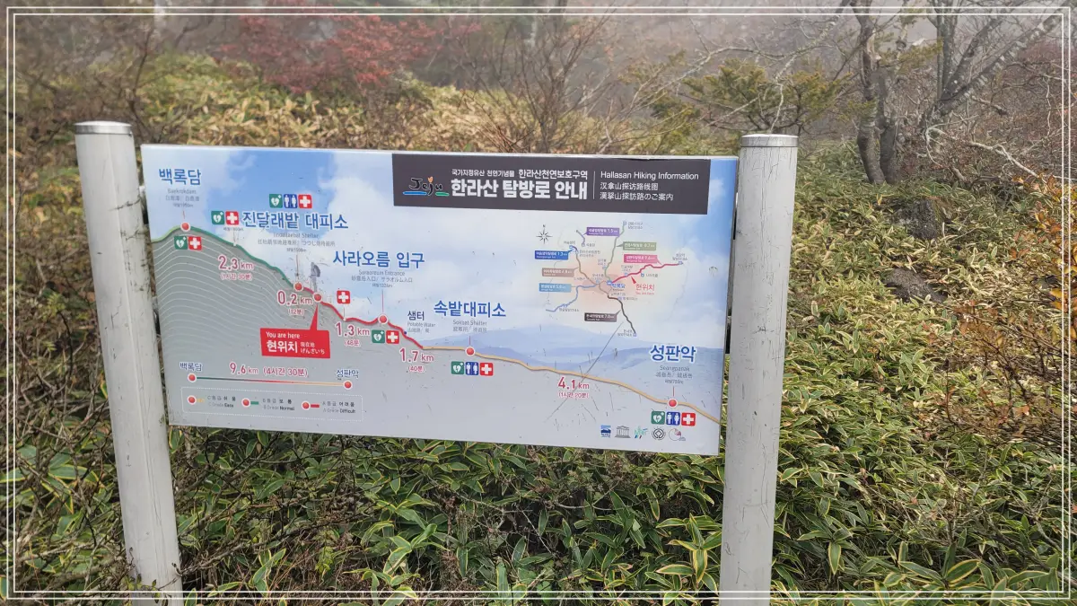 탐방로 안내