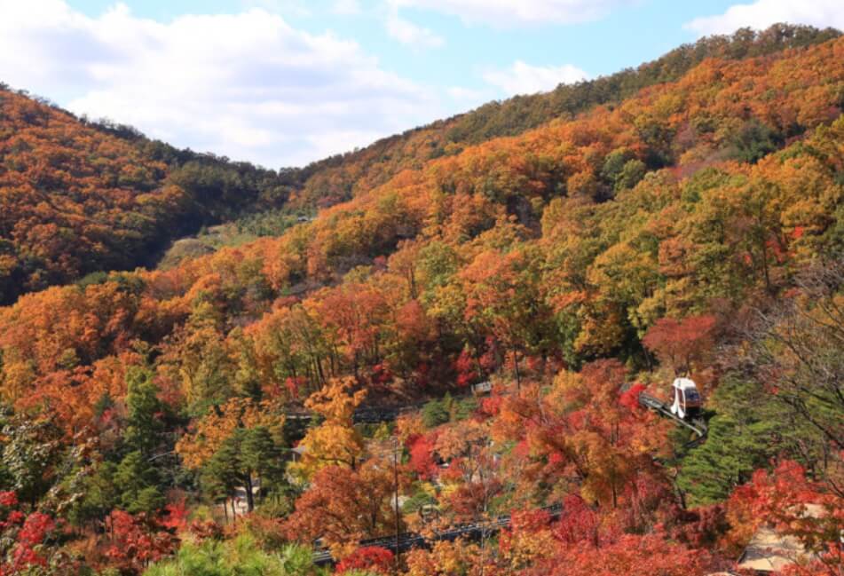 화담숲 입장권&amp;#44; 모노레일 예약 안내