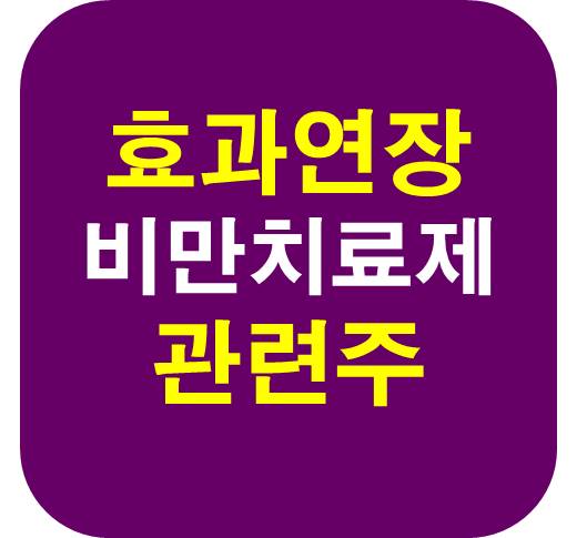 효과 연장 비만치료제 관련주