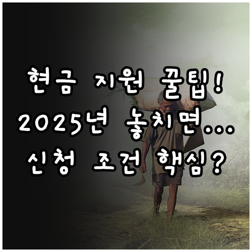 2025 엘리베이터 장치 교체 현금 ..