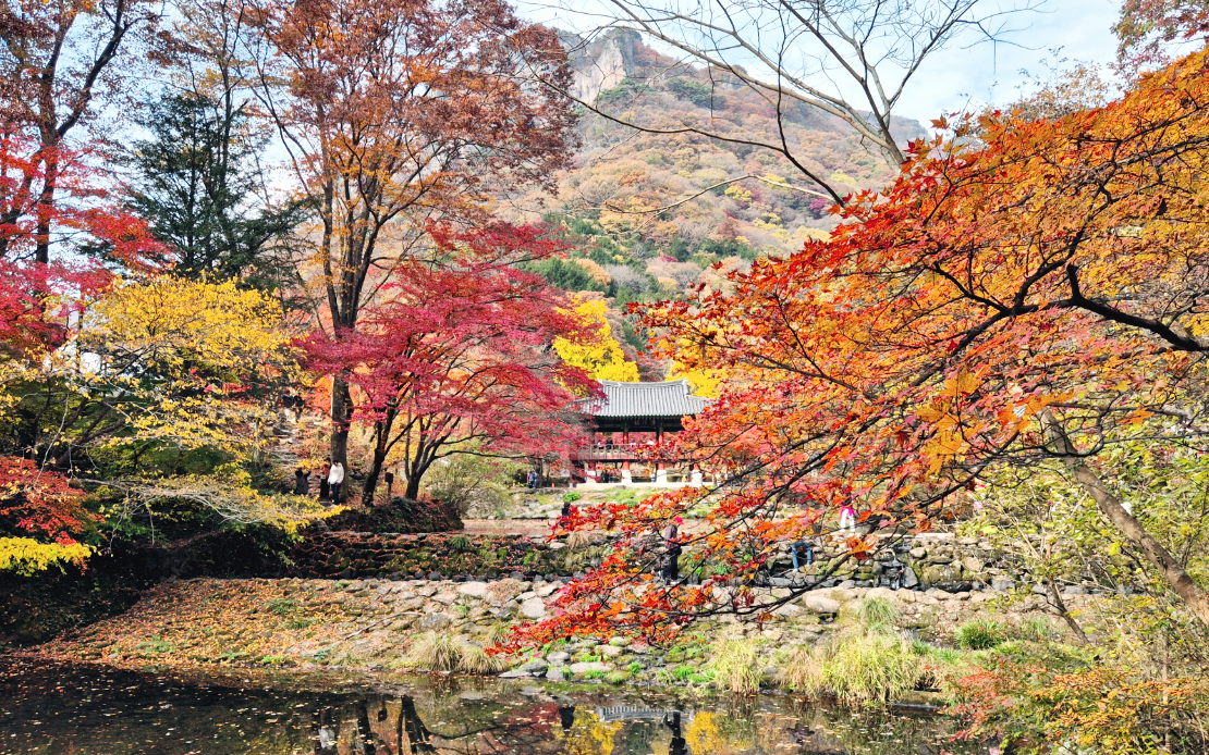 장성 백양사 단풍