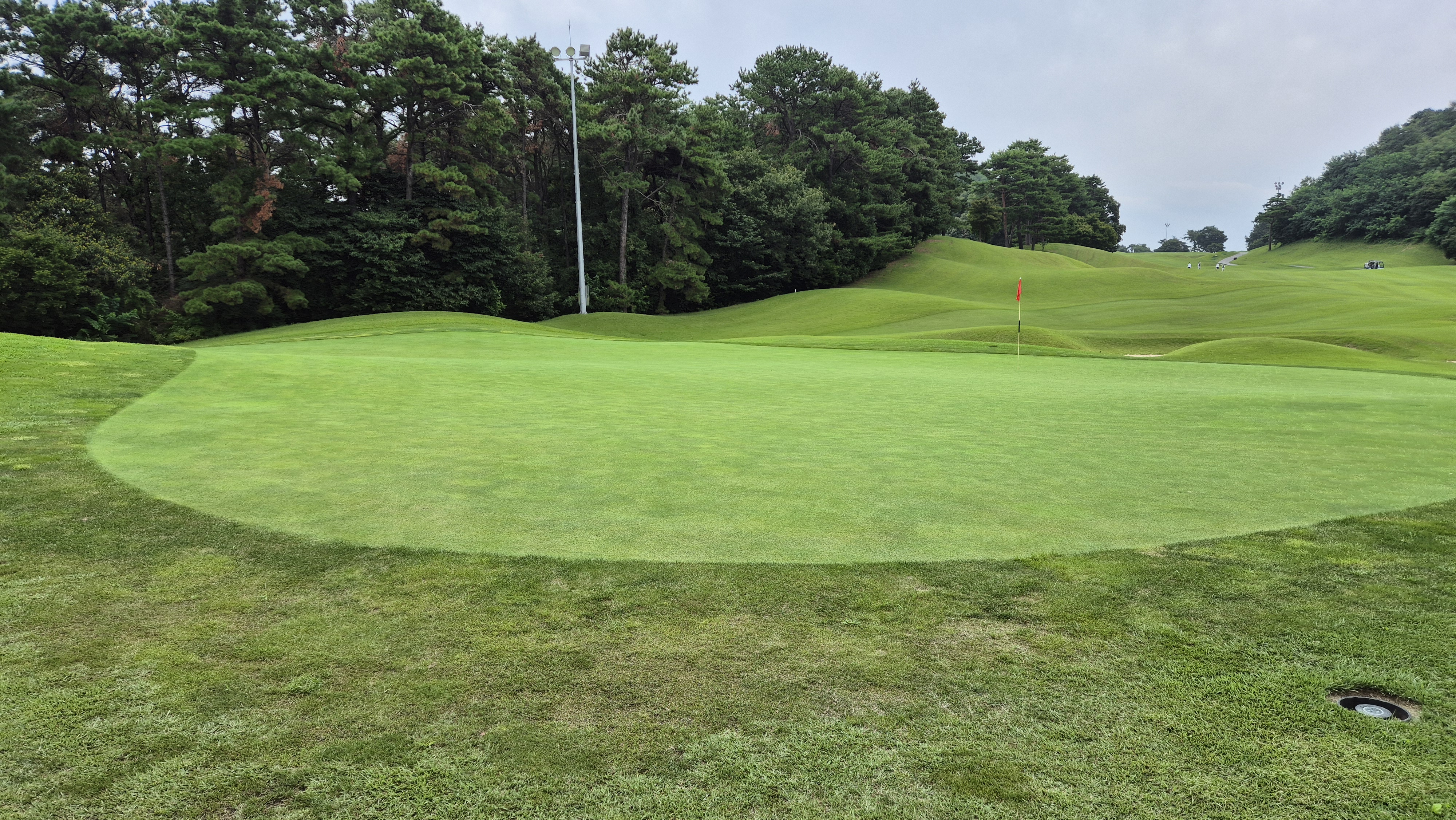 한림용인cc 다이아몬드-사파이어 코스 라운드 후기