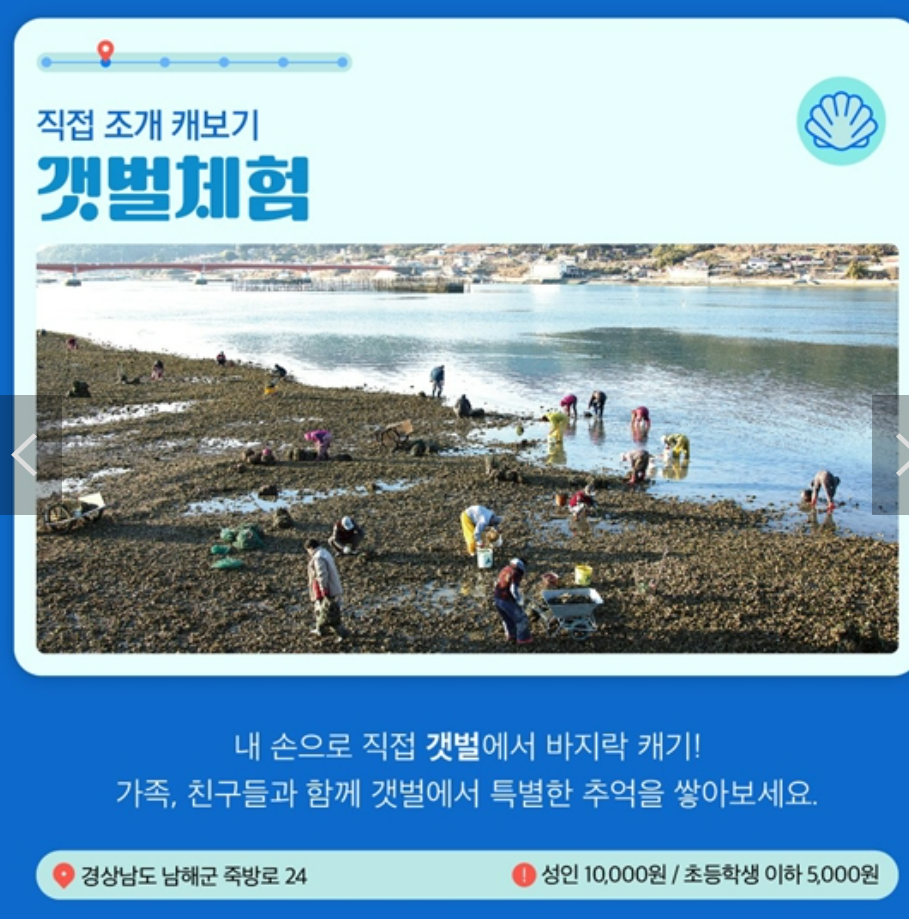 지족 갯벌체험