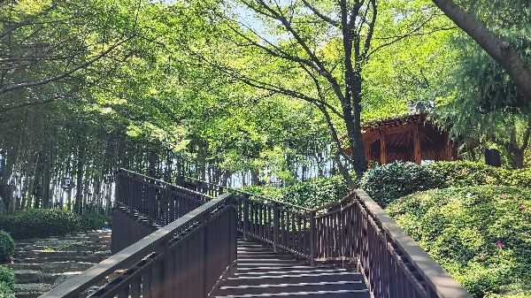 부산박물관 오솔길