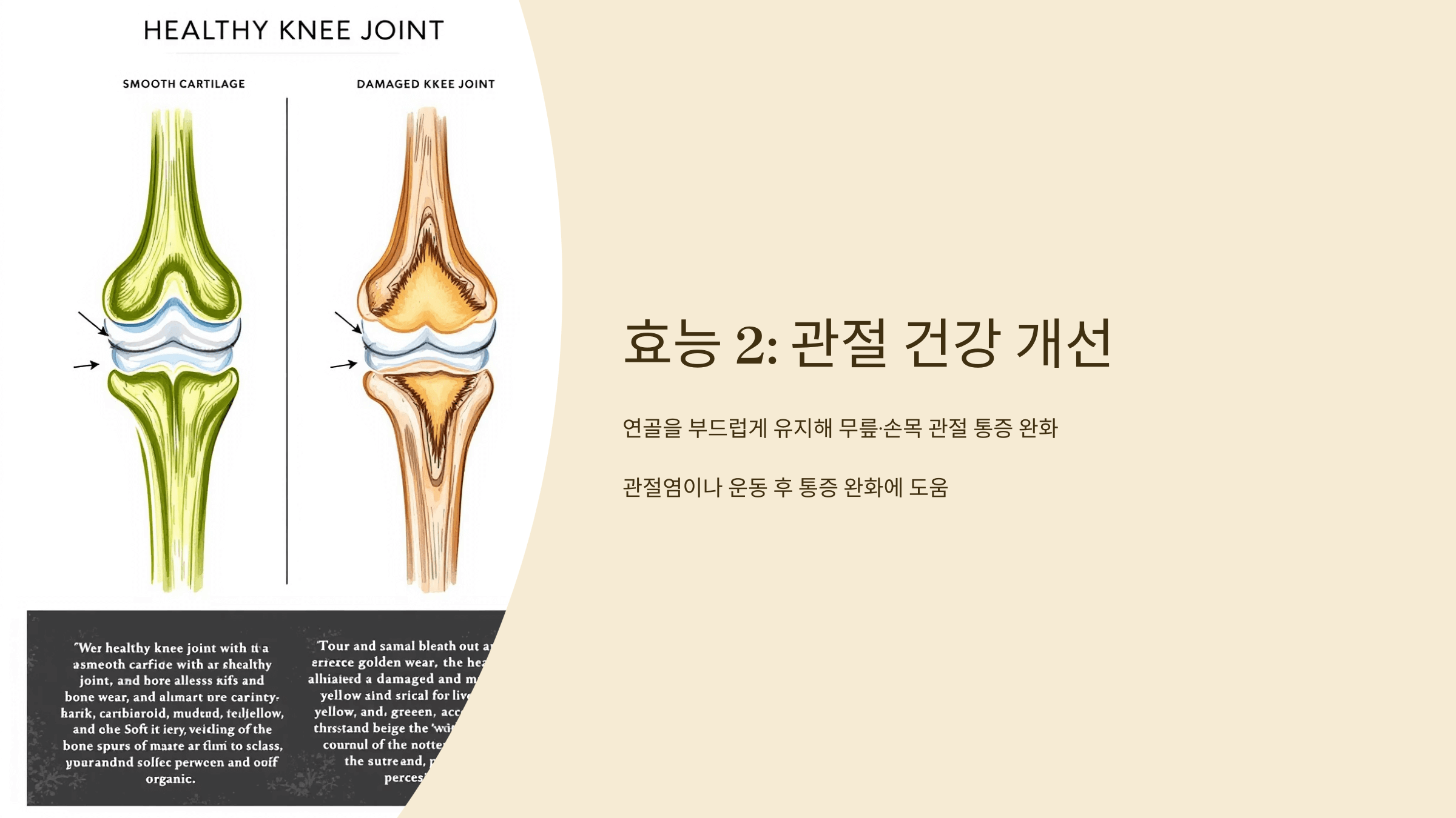 콜라겐 사진입니다.
